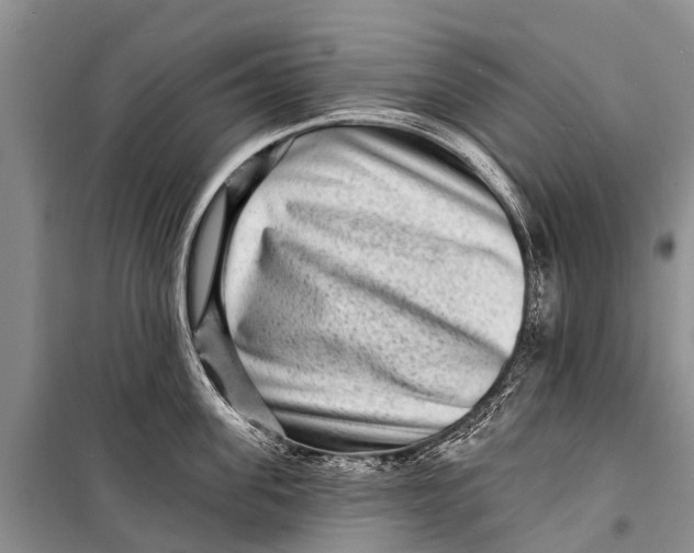 X0000098200955200805151225
