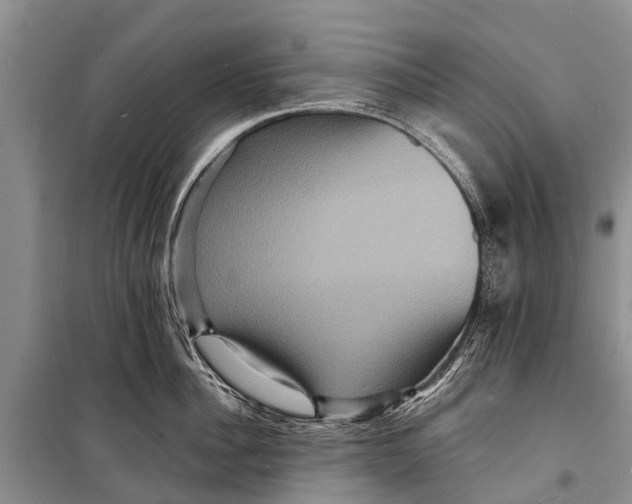 X0000098200956200805151225
