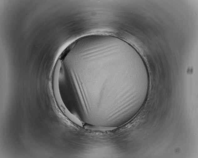 X0000098200960200805151225
