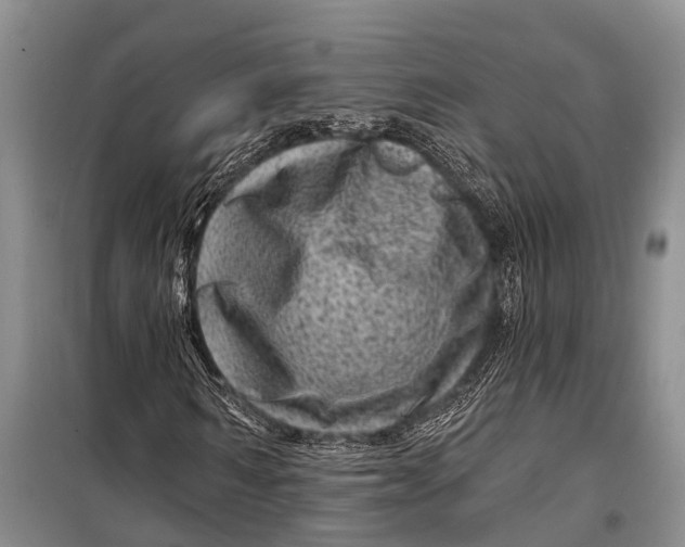 X0000098200962200805151225