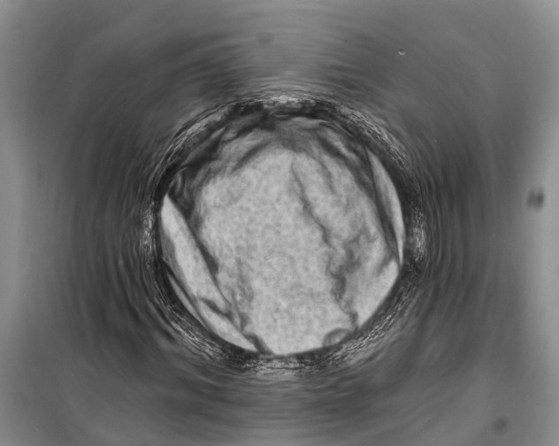 X0000098200964200805151225