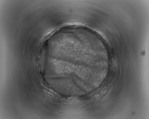 X0000098200967200805151225