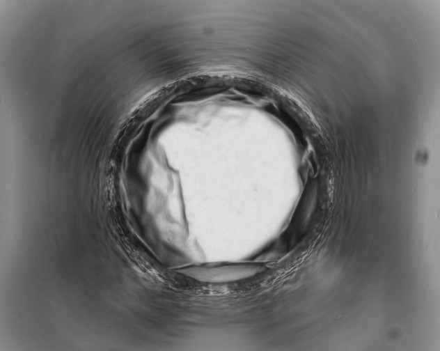 X0000098200968200805151225