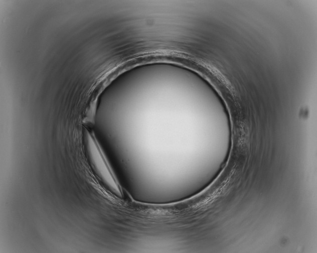 X0000098200969200805151225