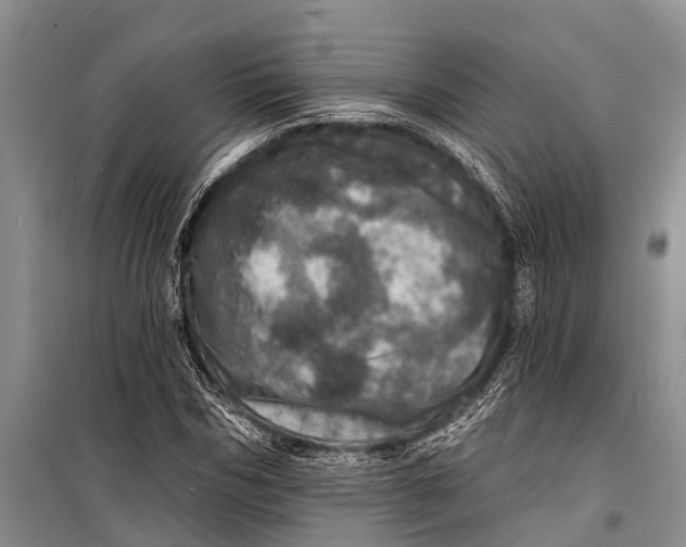 X0000098200970200805151225