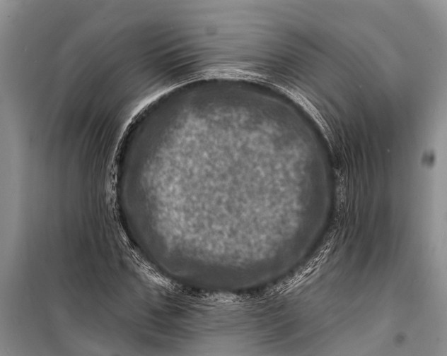 X0000098200971200805151225
