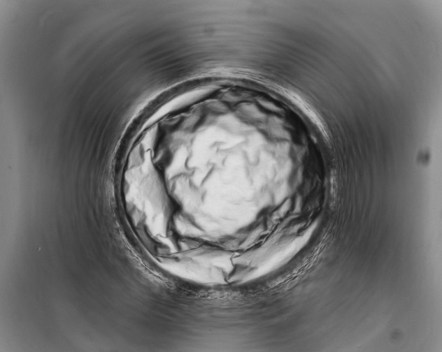 X0000098200972200805151225