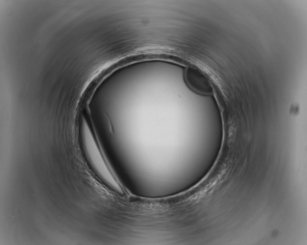 X0000098200973200805151225