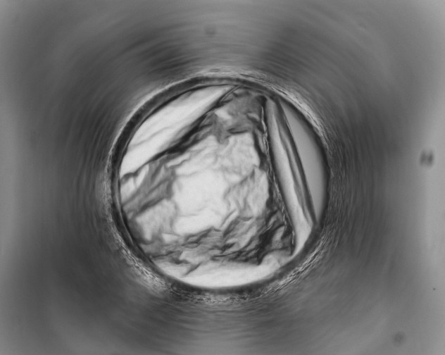 X0000098200976200805151224