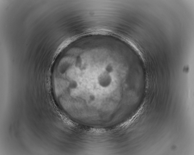 X0000098200978200805151224
