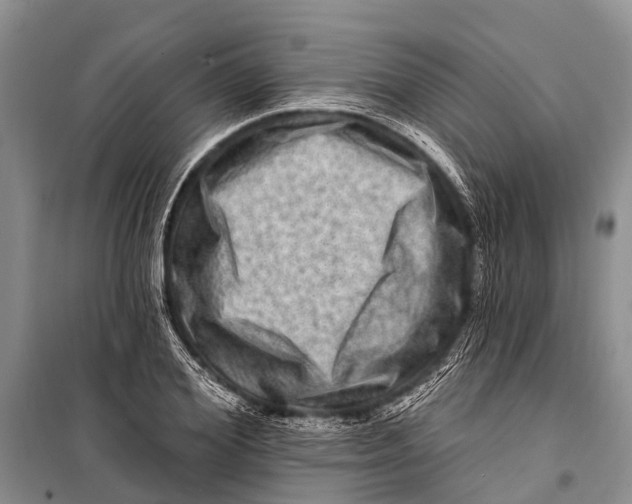 X0000098200980200805151224