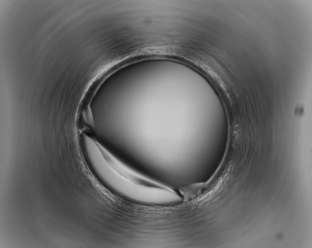 X0000098200981200805151224