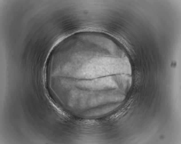 X0000098200982200805151224