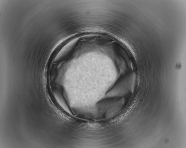 X0000098200983200805151224