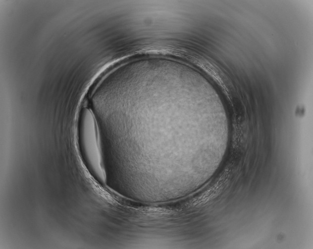 X0000098200984200805151224