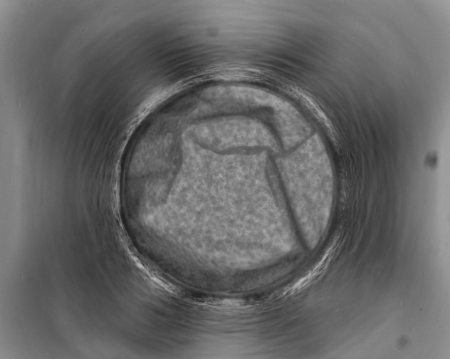 X0000098200986200805151224