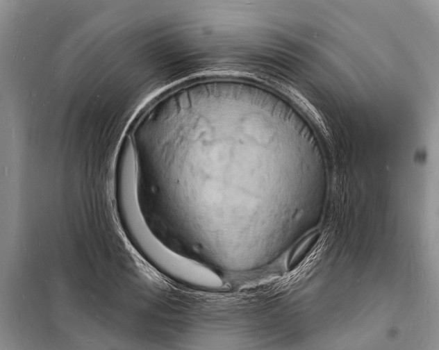 X0000098200988200805151224