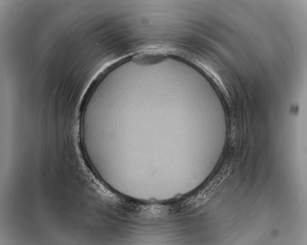 X0000098200992200805151224