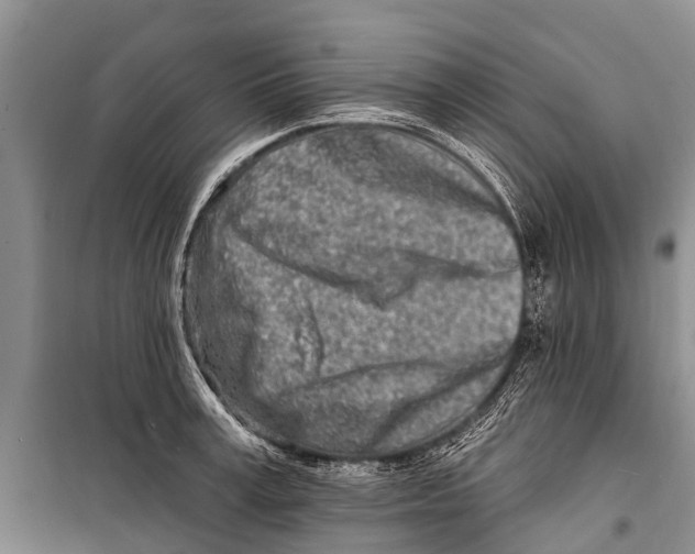 X0000098200995200805151224