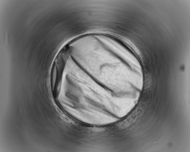 X0000098200996200805151224