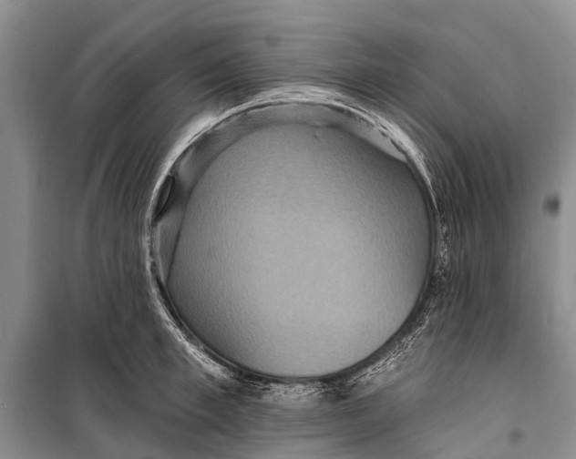 X0000098200997200805151224