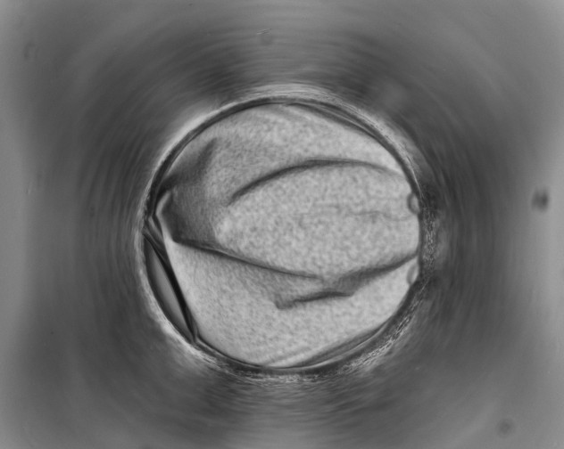 X0000098200999200805151224