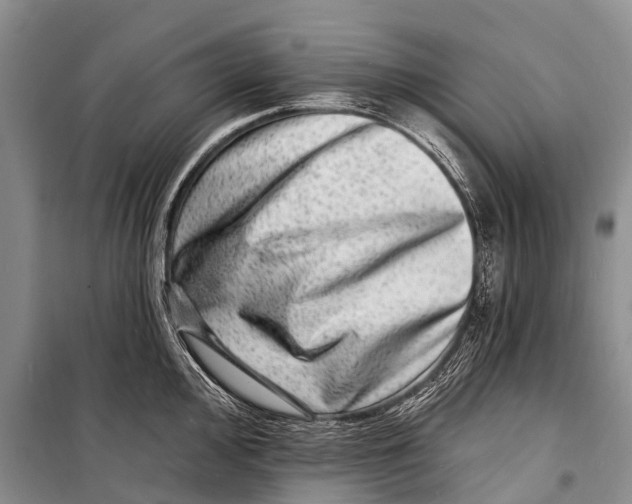 X0000098201000200805151224
