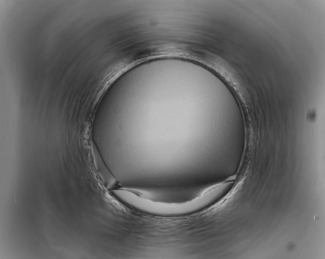 X0000098201001200805151224
