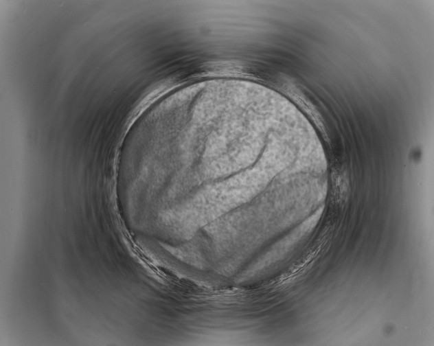 X0000098201002200805151224