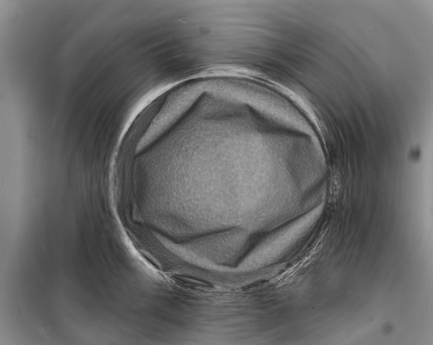 X0000098201003200805151224
