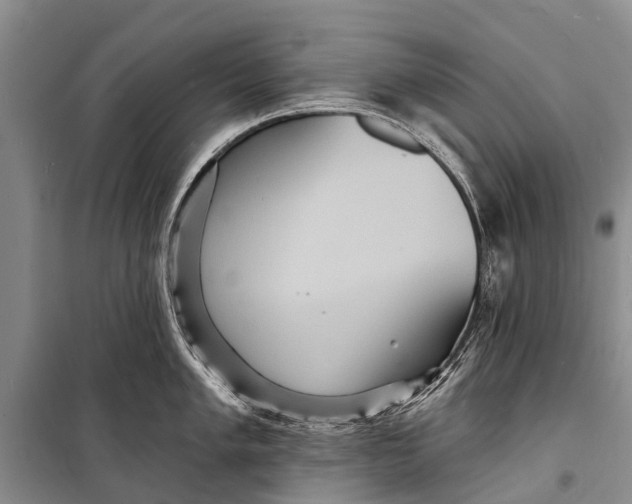 X0000098201005200805151224