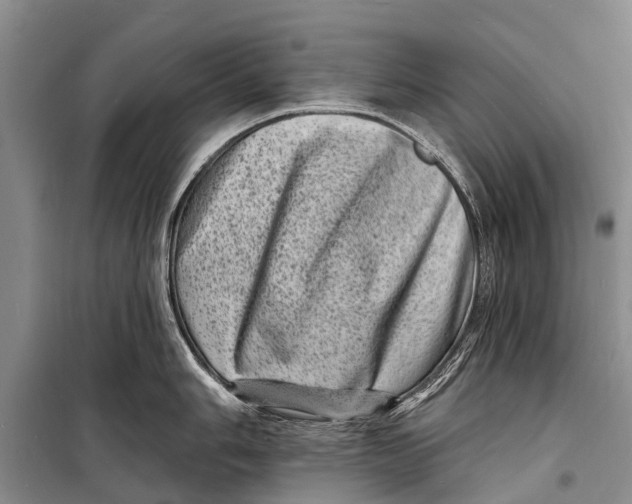X0000098201006200805151224