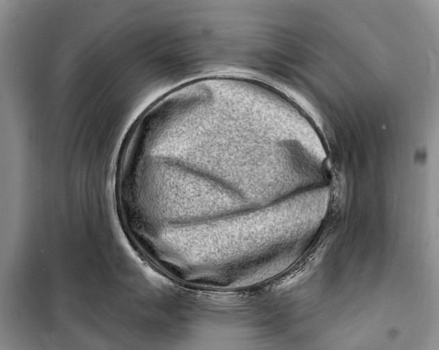 X0000098201007200805151224