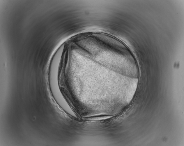 X0000098201008200805151224