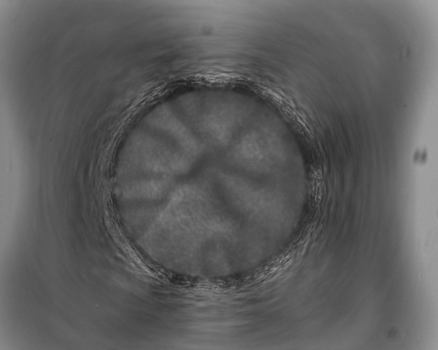 X0000098201009200805151223