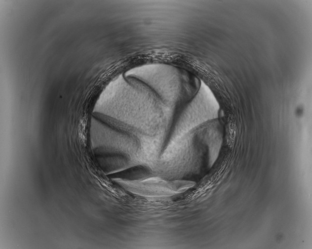 X0000098201010200805151223