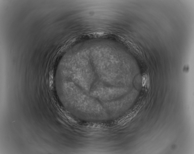 X0000098201011200805151223