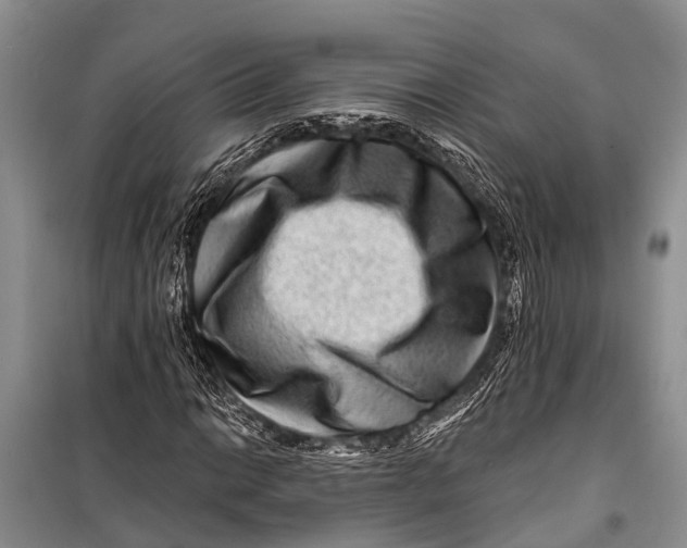 X0000098201014200805151223
