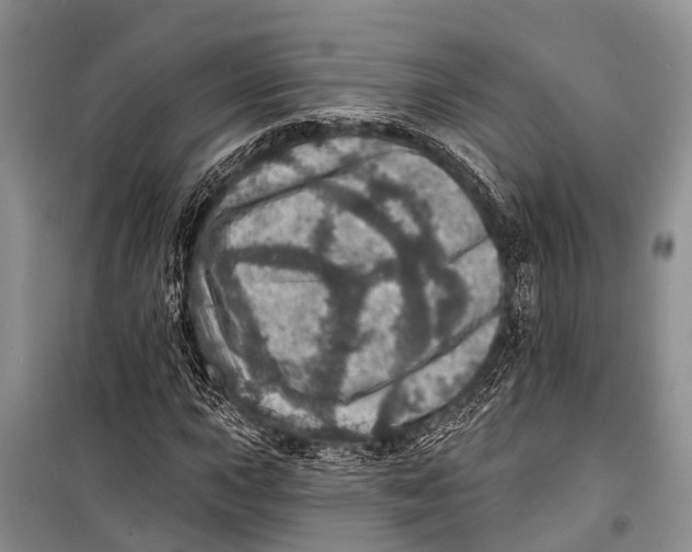 X0000098201015200805151223