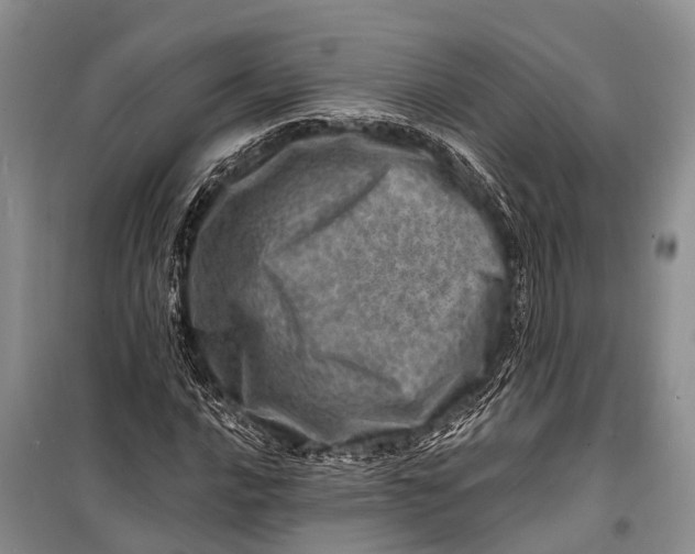 X0000098201016200805151223