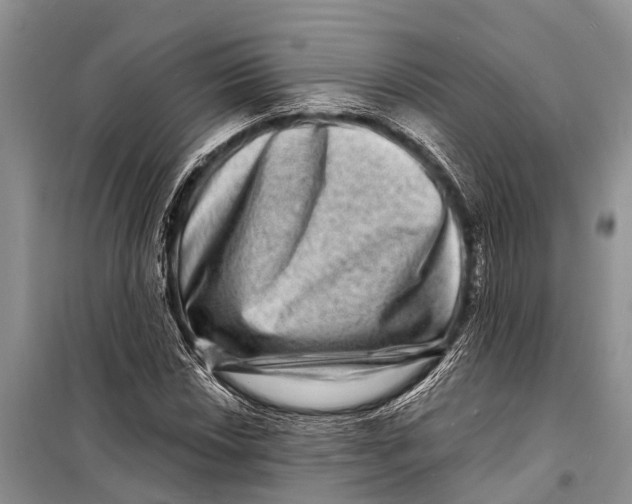 X0000098201018200805151223