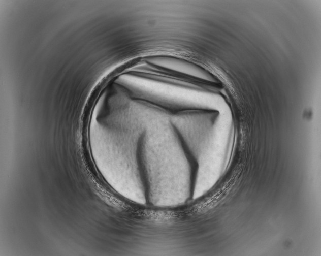 X0000098201020200805151223