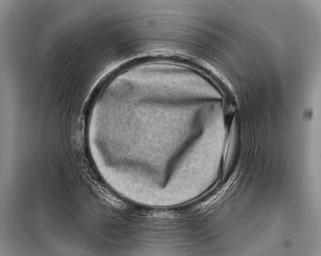 X0000098201021200805151223