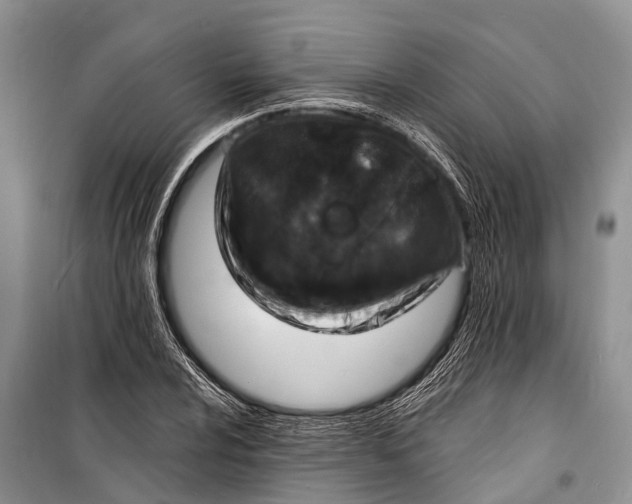 X0000098201024200805151223