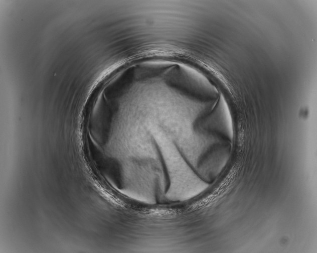 X0000098201026200805151223