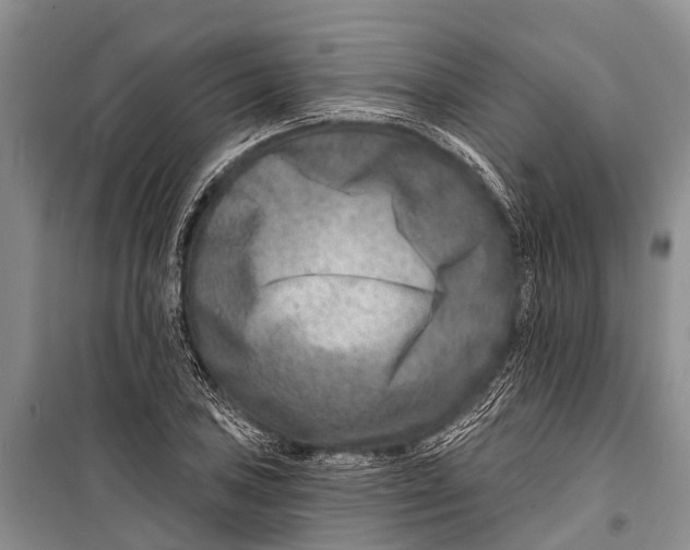 X0000098201027200805151223