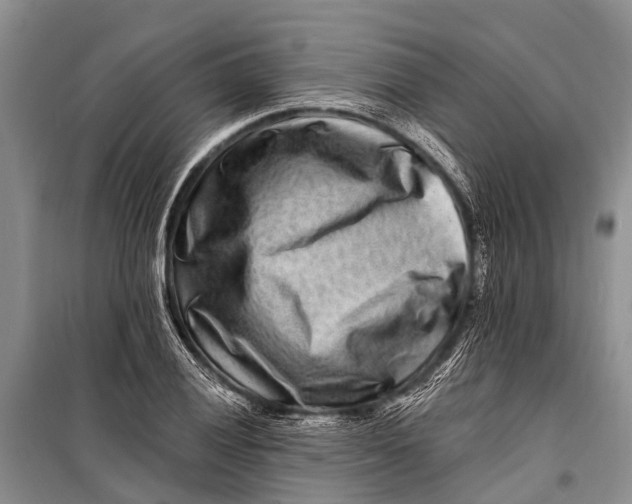 X0000098201028200805151223