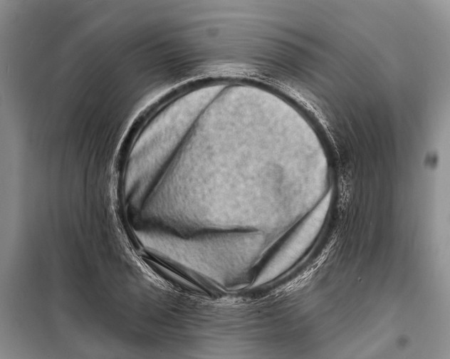 X0000098201029200805151223