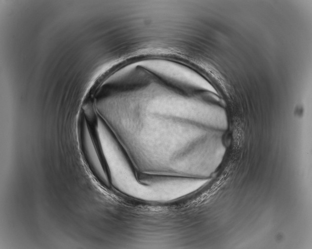 X0000098201030200805151223