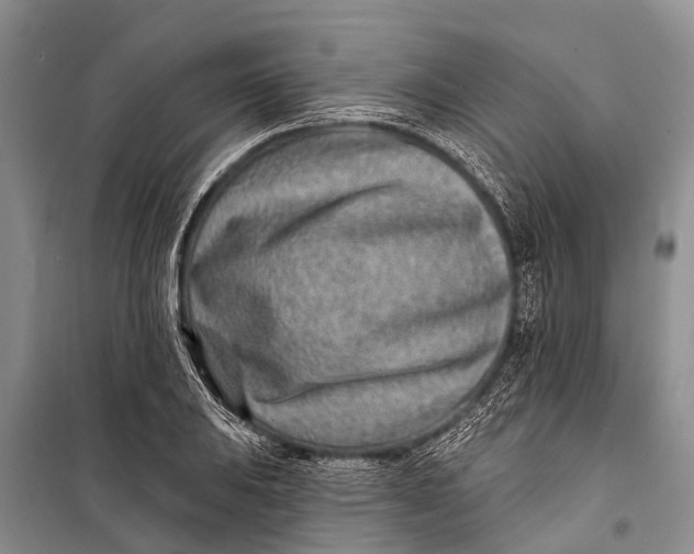 X0000098201031200805151223